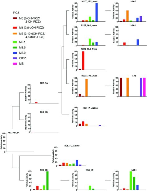 FICZ Metabolism By Ancestral And Extant CYP1 Forms The Metabolism Of