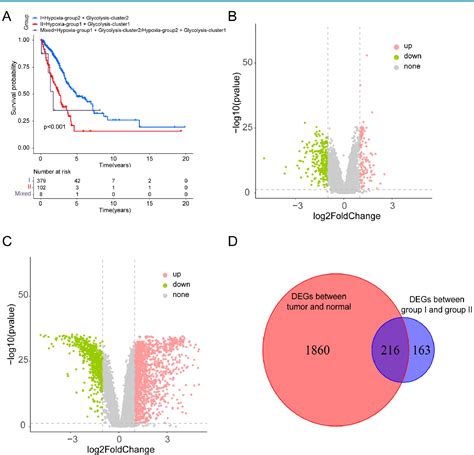 Figure 2 From Identification And Validation Of A Hypoxia And Glycolysis