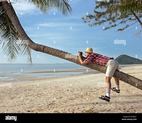 Tourist Photographing The Palm Stock Photo Alamy