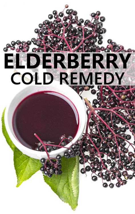 Dr Oz Elderberry Extract Cold Remedy And Tips To Fight Fall Allergies