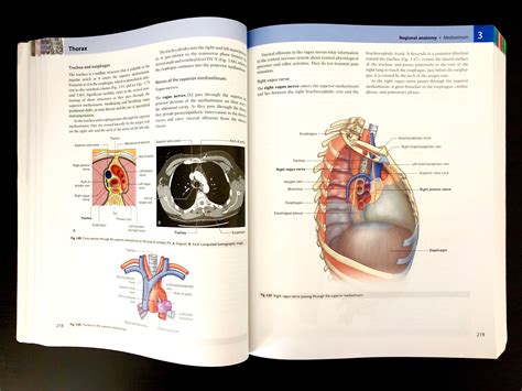 Best Human Anatomy Book