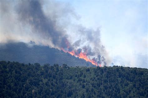 Colorado Wildfire Spring Creek Fire Spreads Into White River Forest