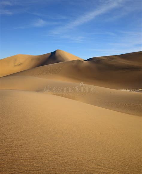 The Soft Curves Of Yellow Sand Dunes Stock Image Image Of Orange