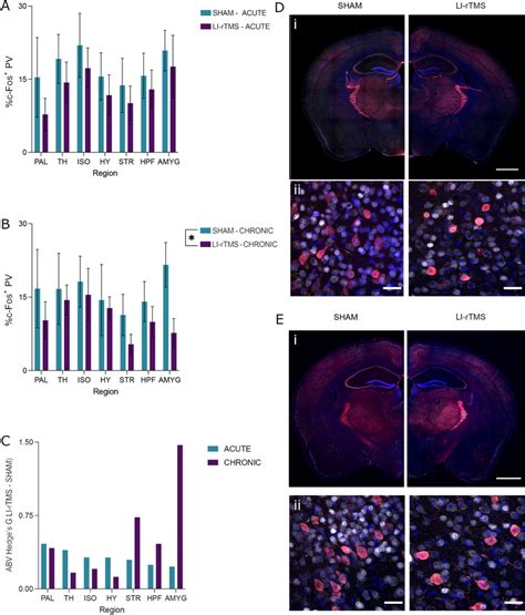 Percentage C Fos Parvalbumin Pv Co Expression With Acute Or Chronic Download Scientific