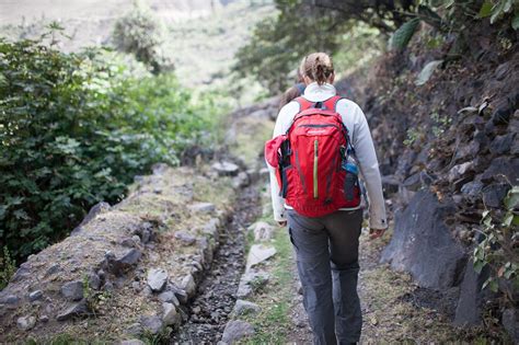 What's your mule? Trekking Colca Canyon in Peru. • Choosing Figs