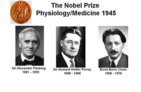 What Was The Nobel Prize Set For Telegraph