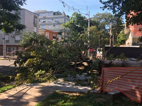 Rvore Cai E Bloqueia Rua Jaime Telles No Bairro Petr Polis