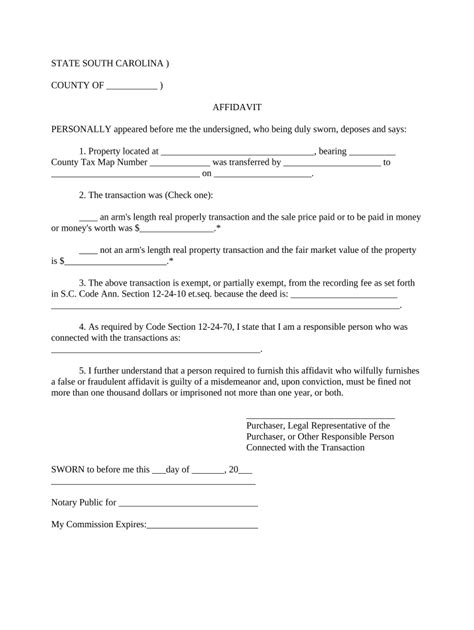 Sc Affidavit Form Fill Out Sign Online Dochub