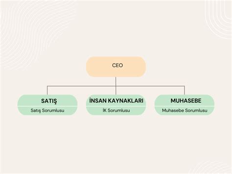 Şirket Organizasyon Şeması ve Görev Tanımları