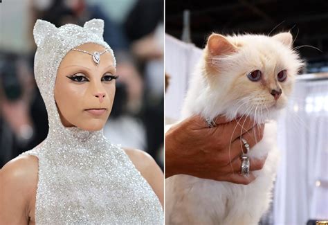 Everything To Know About Karl Lagerfeld S Beloved Cat Choupette Big