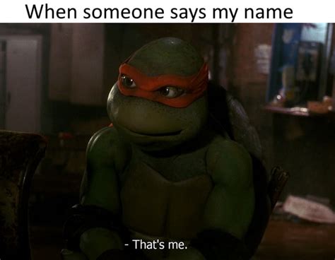 20 Hilarious Teenage Mutant Ninja Turtles Memes That