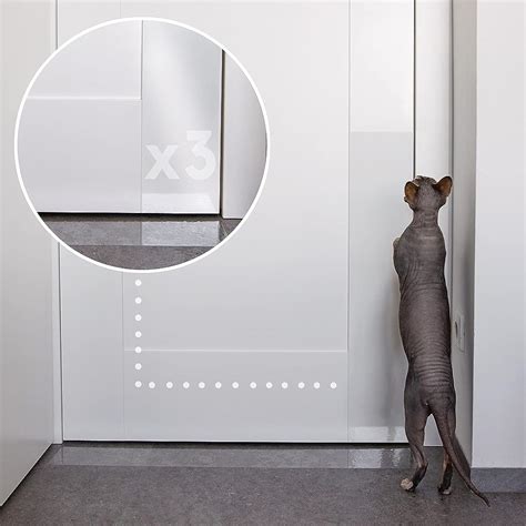 9 Best Door Scratch Protectors for Dogs