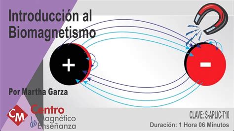 Tema Introducci N Al Biomagnetismo Youtube