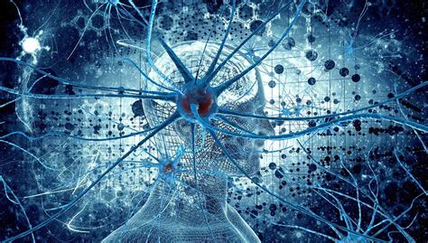 Powerful Ways To Form New Synapses In The Brain Optimal Living