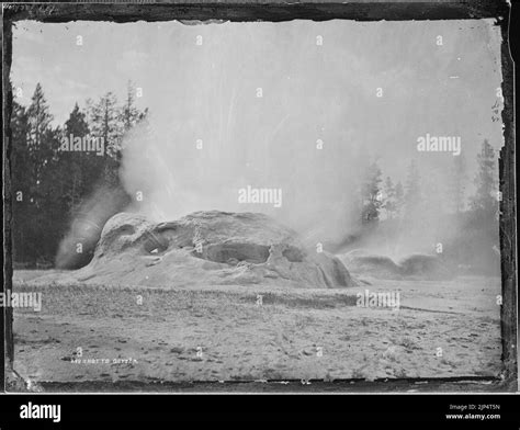 The Grotto Geyser In Eruption Yellowstone Stock Photo Alamy