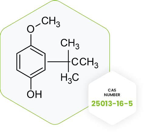 Largest Manufacturers Of Butylated Hydroxyanisole Bha