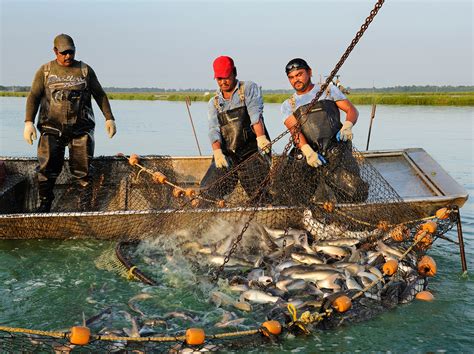 Aquaculture National Geographic