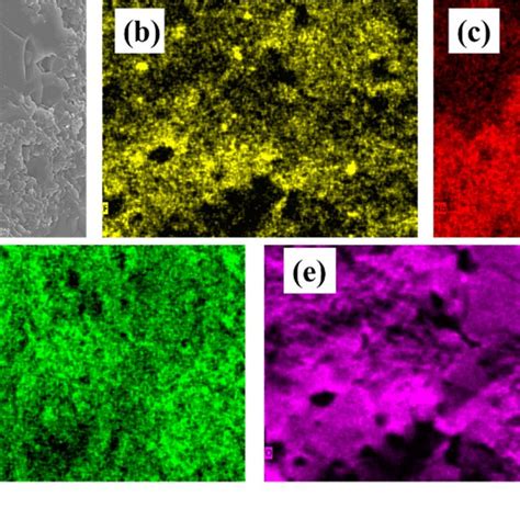 Sem Micrographs Of X Li Tio Xli Nbo F Ceramics Sintered At C