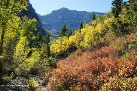 The Best of Utah! Fall Colors Along the Scenic Alpine Loop