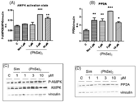 Ampk Phosphorylation State And Pp A Protein Level In Hepg Cells