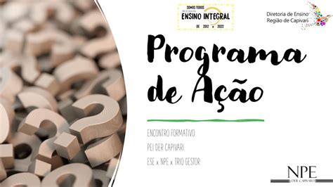 Programa De A O Pei Preenchido Braincp