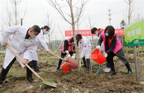 浙江湖州：乡村植树添新绿 人民图片网