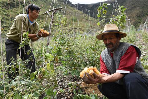 Manu Reserva De Bi Sfera Recinto De Naturaleza Cultura Y Actividades