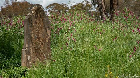 Byng Cemetery Byng Named After A Boer War Commander Ceme Flickr