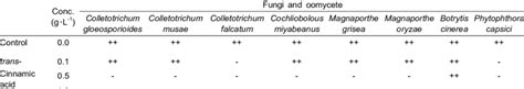 Antimicrobial Activity Of The Five Simple Phenolics Three Flavonoids Download Scientific