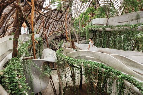 Una Guida Al Biophilic Design Peverelli