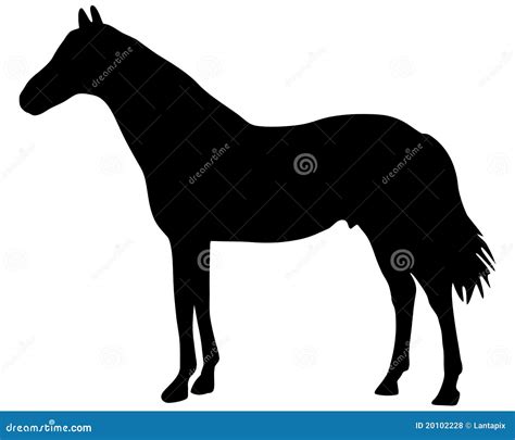 Het Silhouet Van Het Paard Vector Illustratie Illustration Of Kleur