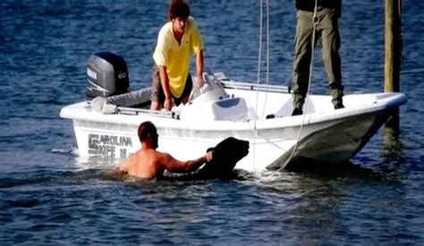 Orso Sta Annegando In Acqua Quello Che Fa Questuomo Per Salvarlo