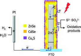 High And Stable Photoelectrochemical Activity Of Zno Znse Cdse Cuxs