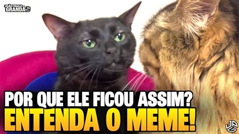 Meme Do Gato Preto Olhando Para Outro Gato YouTube