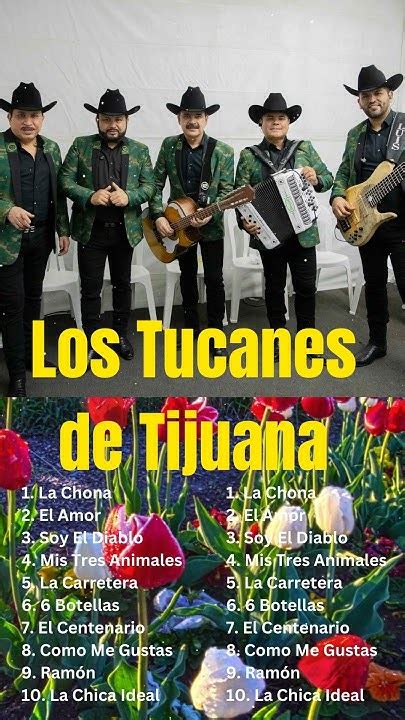 Me Gusta Vivir De Noche Los Tucanes De Tijuana 20 Exitos Shorts