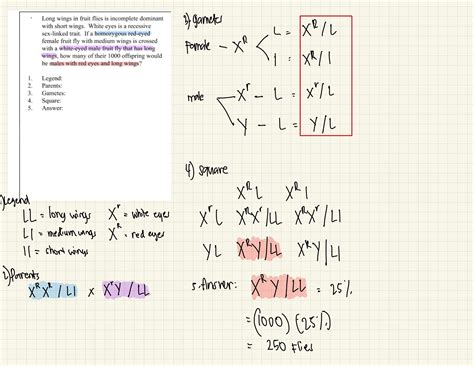 Solved Can You Solve These Sex Linked Punnett Squares Solve For The Course Hero