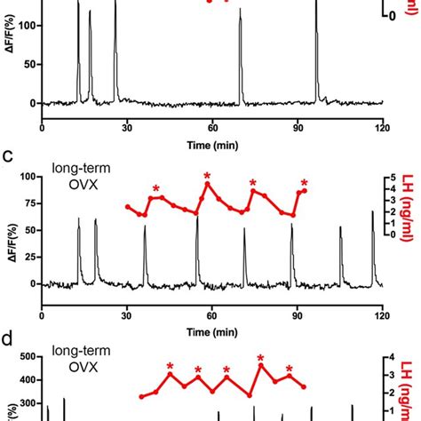 Relationship Of Pulse Generator Activity To Pulsatile LH Secretion In