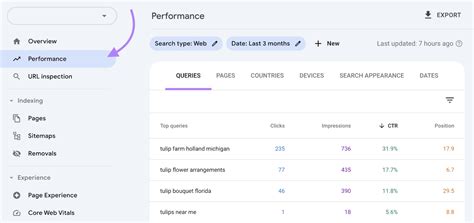 Search Terms: Definition & How to Use Them (with Examples)