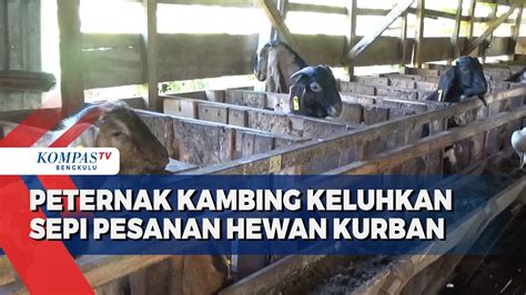 Peternak Kambing Keluhkan Sepi Pesanan Hewan Kurban Mendekati Idul Adha