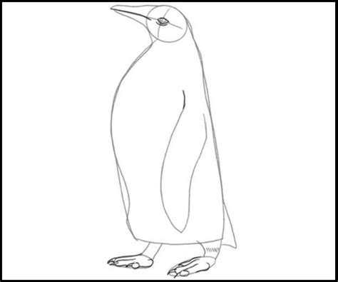 Pinguino Dibujo Facil Dibujar Facil