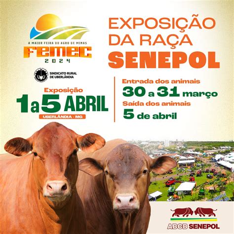 Femec A Maior Feira Do Agro De Minas