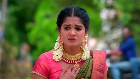 Watch Karthigai Deepam Tv Serial Webisode Of Th June Online On Zee