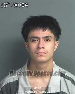 Recent Booking Mugshot For Edgar Jesus Chavez Alonso In Montgomery