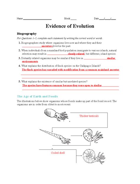 Evidence Of Evolution Name Block Date