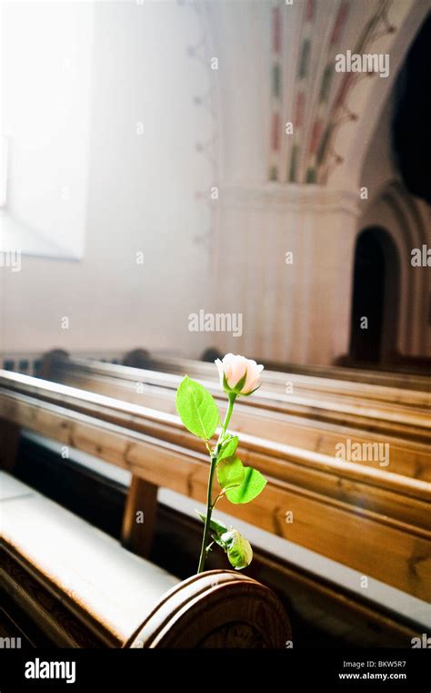 Rose Church High Resolution Stock Photography And Images Alamy