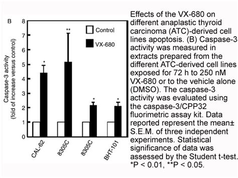 Apexbio Caspase 3 Fluorometric Assay Kit Detects Devd Dependent Caspase Activity Highly