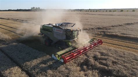 Moisson Dans La Poussi Re Claas Lexion Avec Une Coupe De