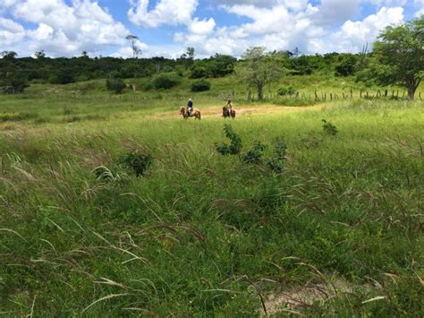 Fazenda Na Chapada Diamantina Bahia Rede Pindorama De Permacultura