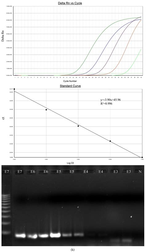 Development And Validation Of Multiplex One Step Real Time TaqManqRT