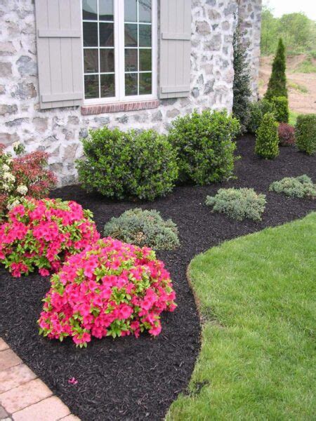 21 Best Black Mulch Landscaping Ideas To Create The Perfect Garden